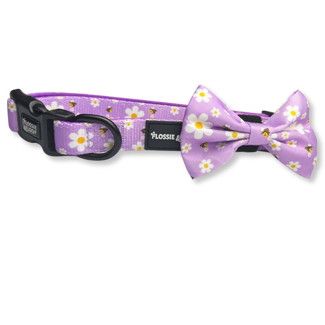 Cute as Can Bee 2.0 Bow Tie