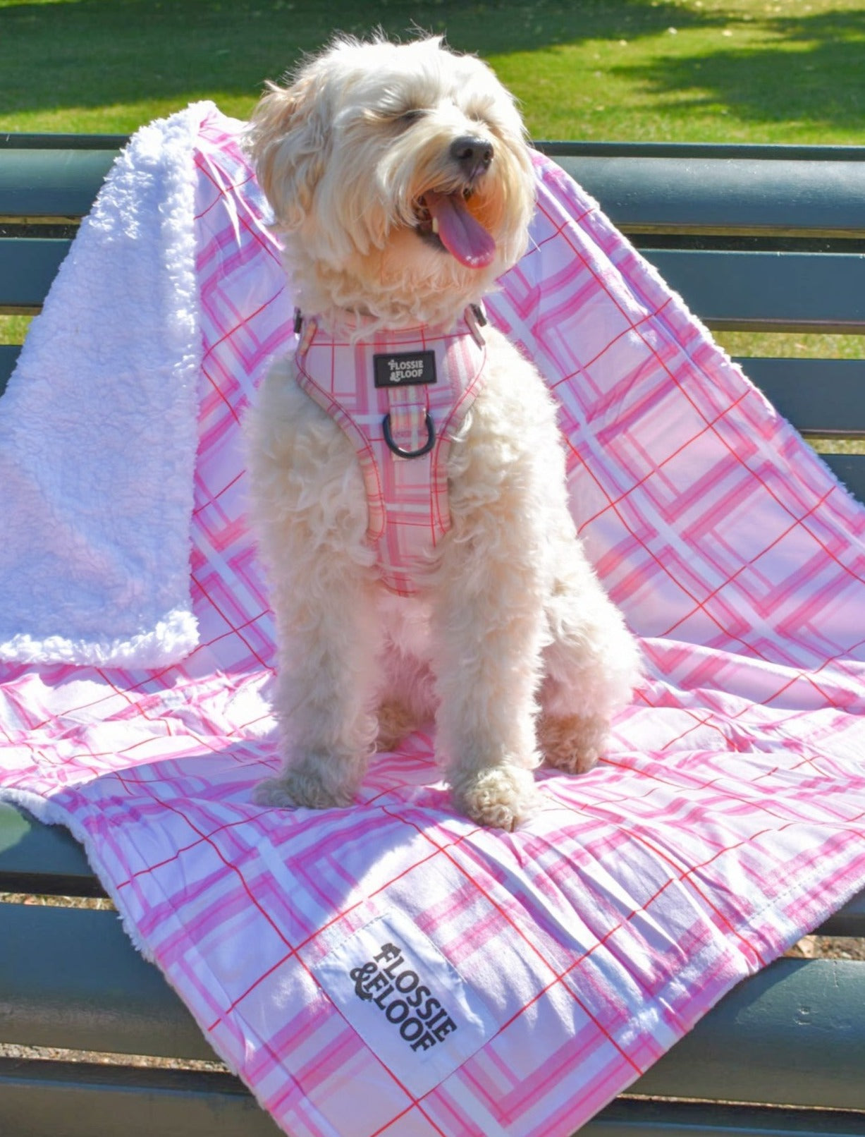 Oxford Blush Dog Blanket