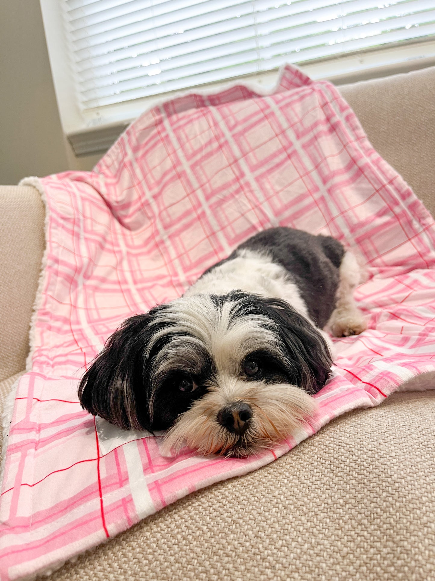 Oxford Blush Dog Blanket