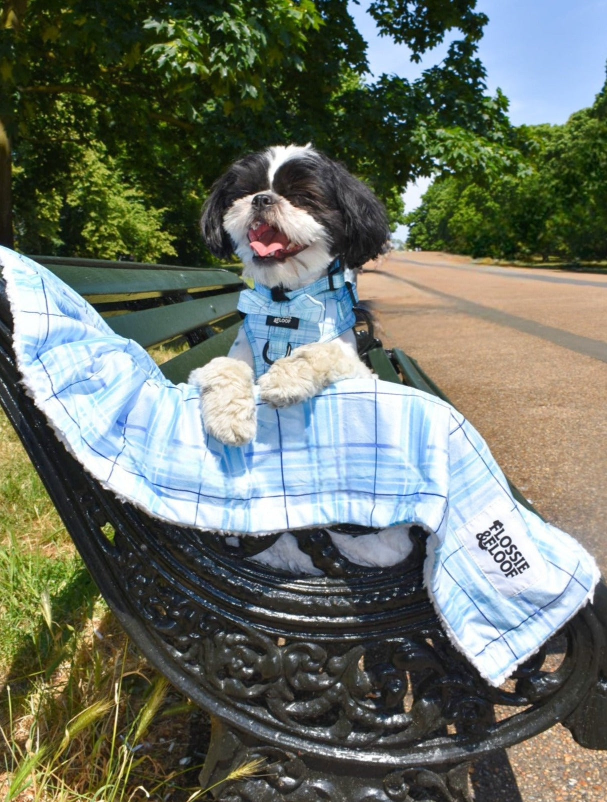 Oxford Oasis Dog Blanket