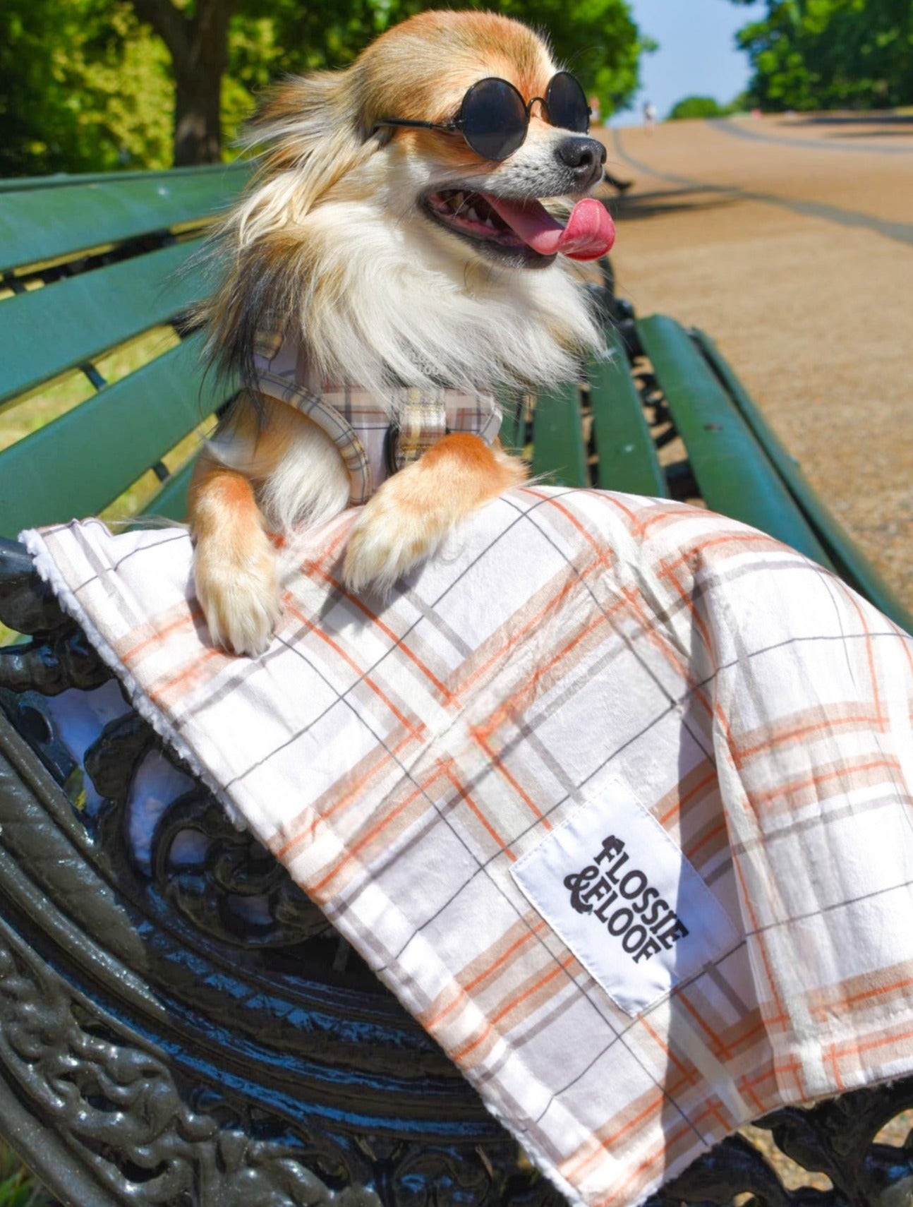 Oxford Sand Dog Blanket
