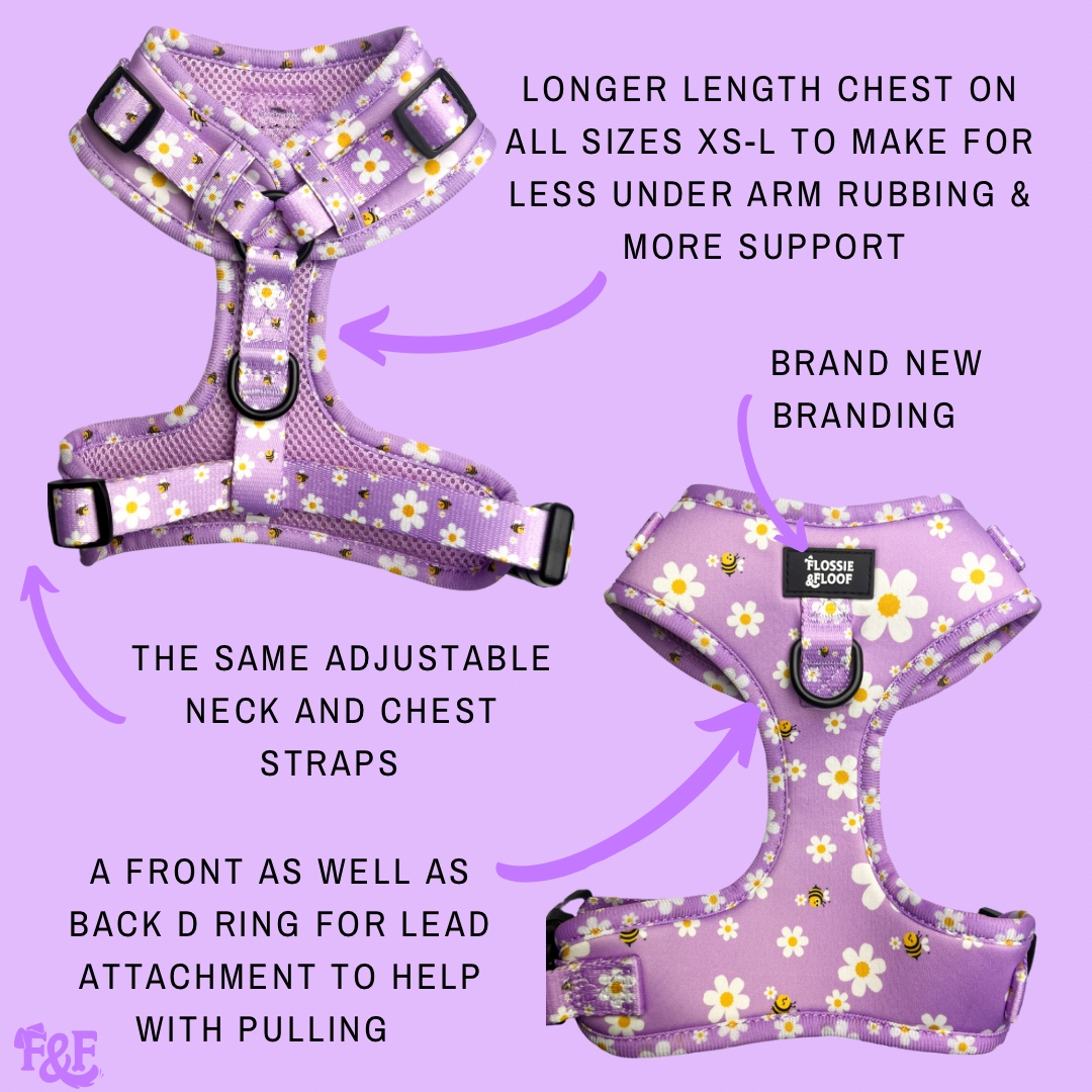 Cute as Can Bee 2.0 Adjustable Harness