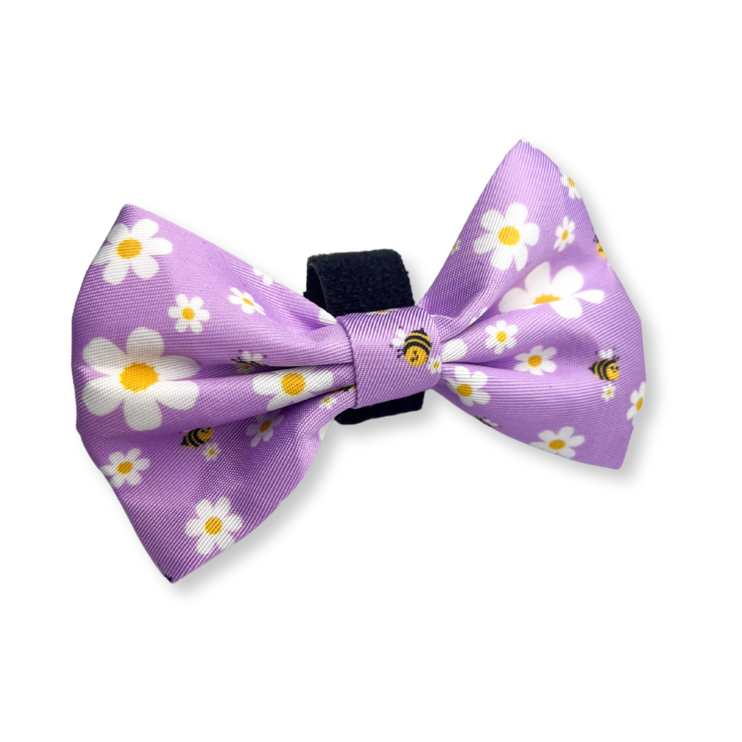 Cute as Can Bee 2.0 Bow Tie